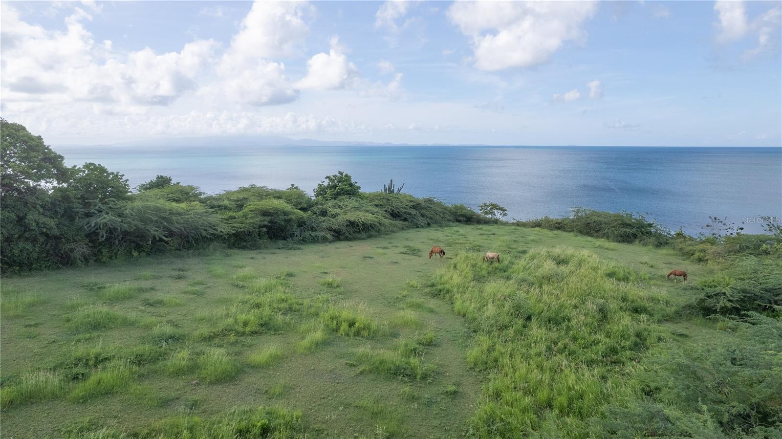 VIEQUES — foto 2