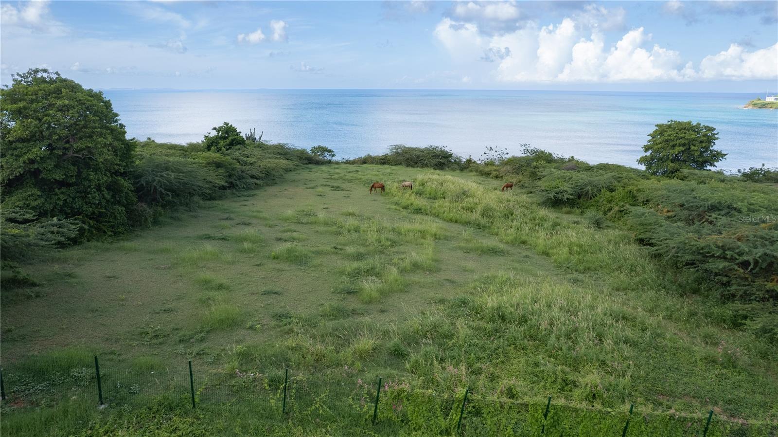 VIEQUES — foto 3