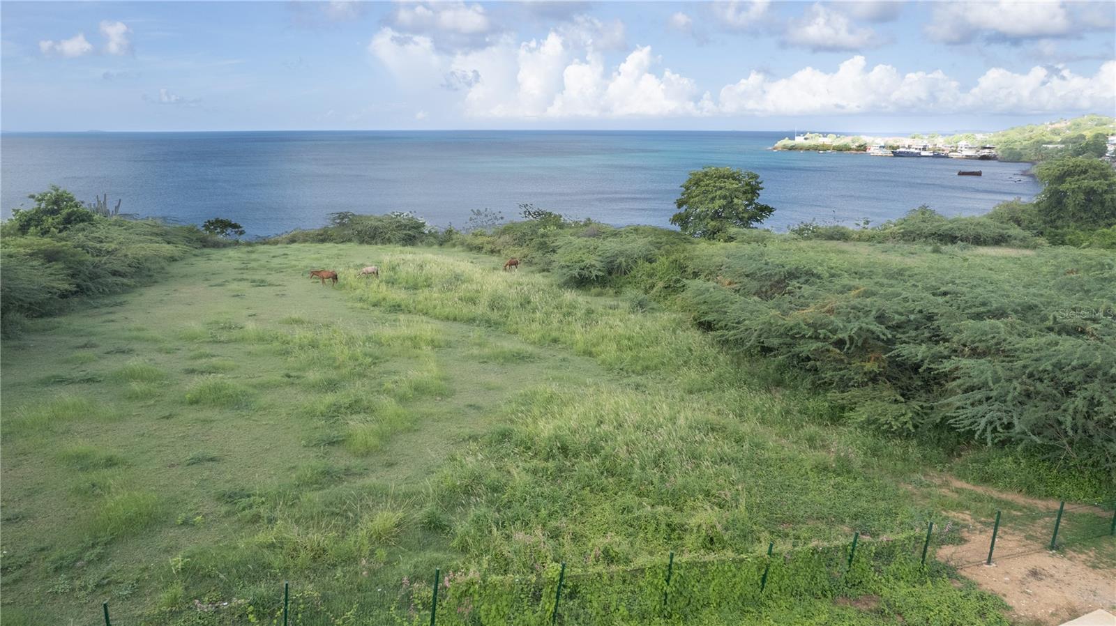 VIEQUES — foto 7
