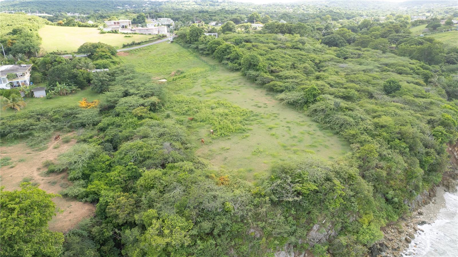 VIEQUES — foto 8