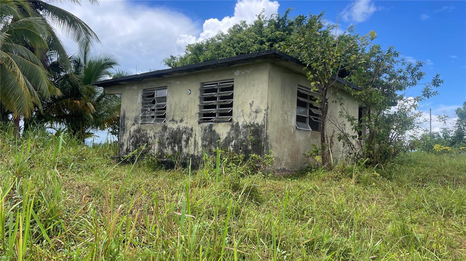2 hab · 1 baños · YABUCOA — foto 2
