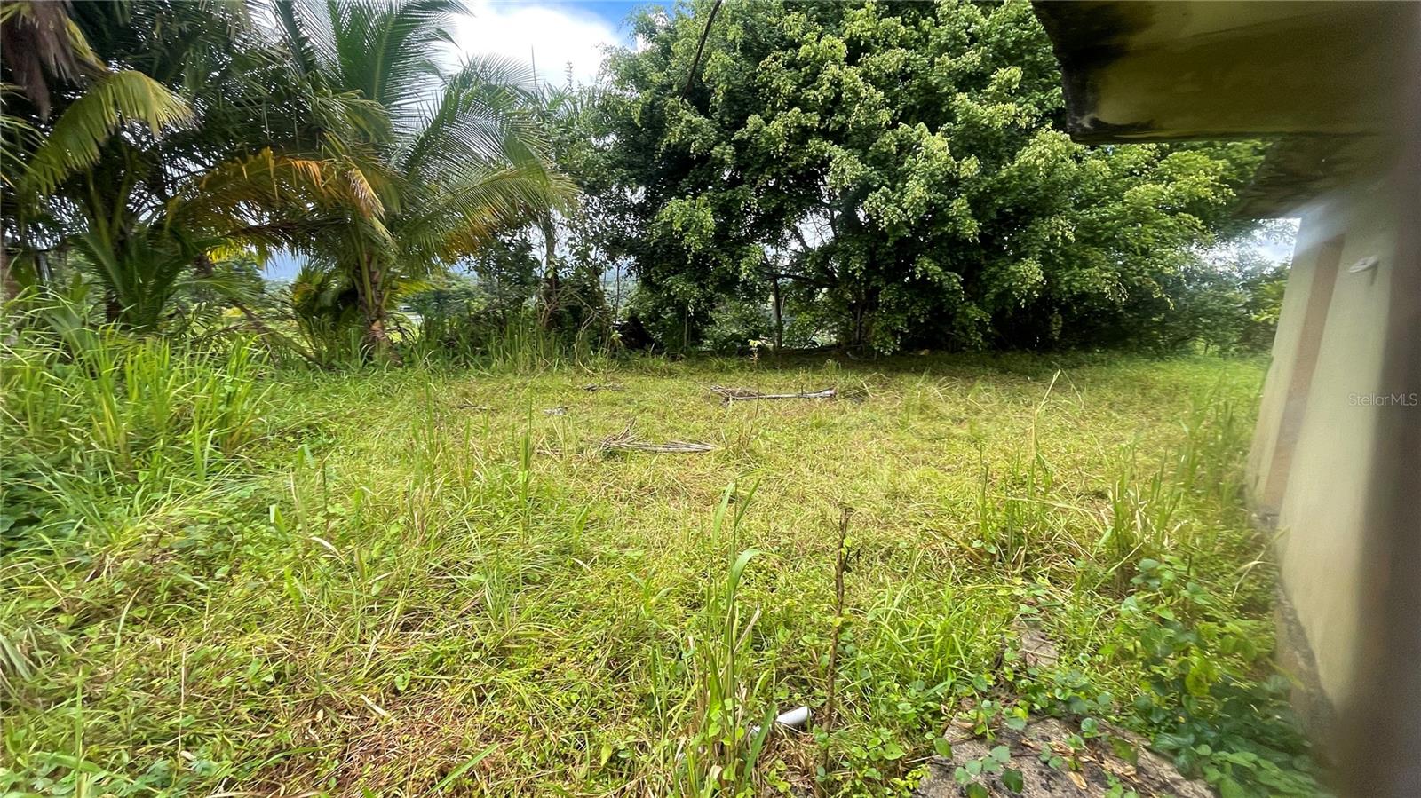 2 hab · 1 baños · YABUCOA — foto 5