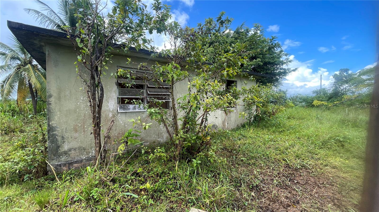 2 hab · 1 baños · YABUCOA — foto 6