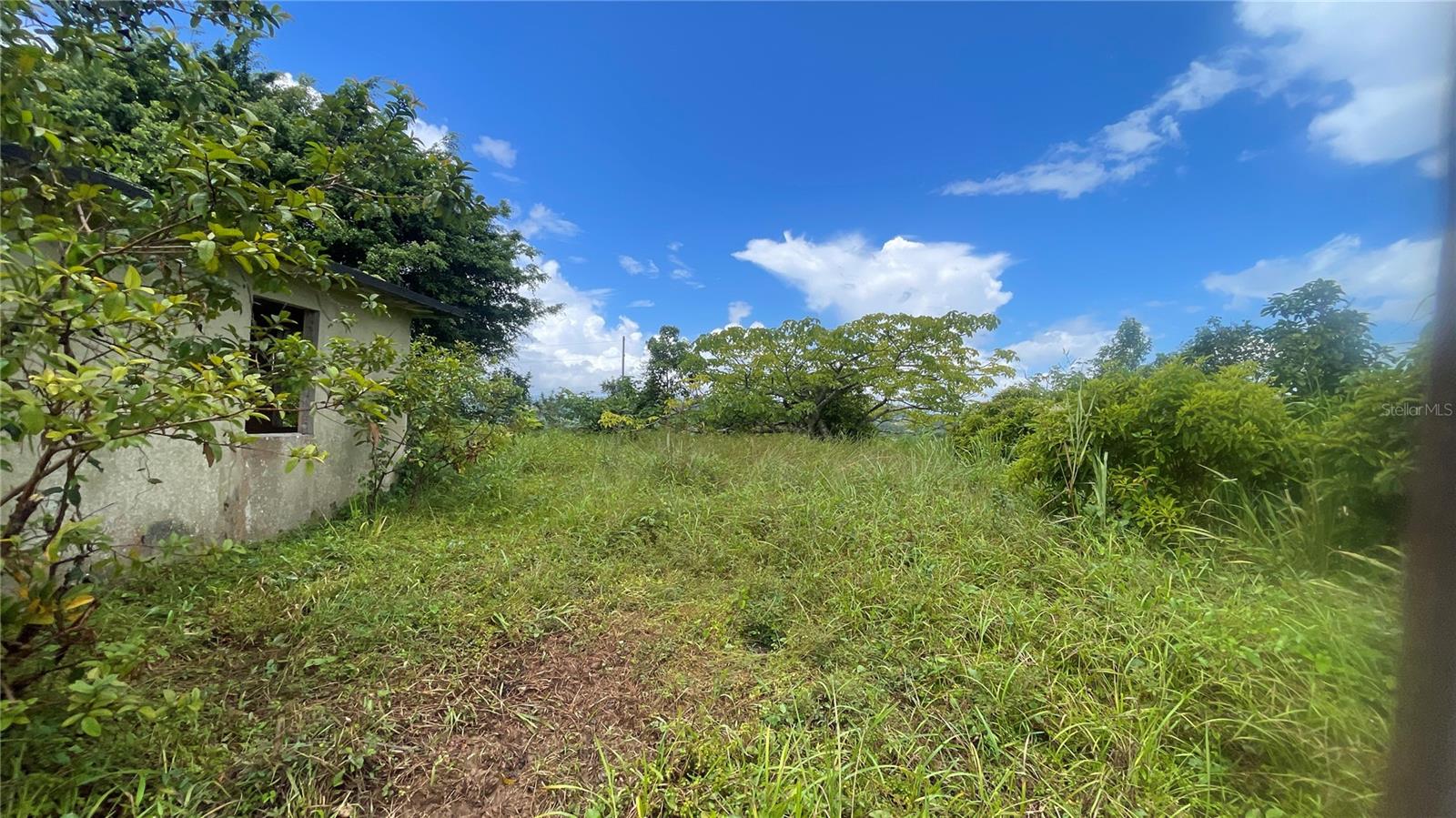 2 hab · 1 baños · YABUCOA — foto 8