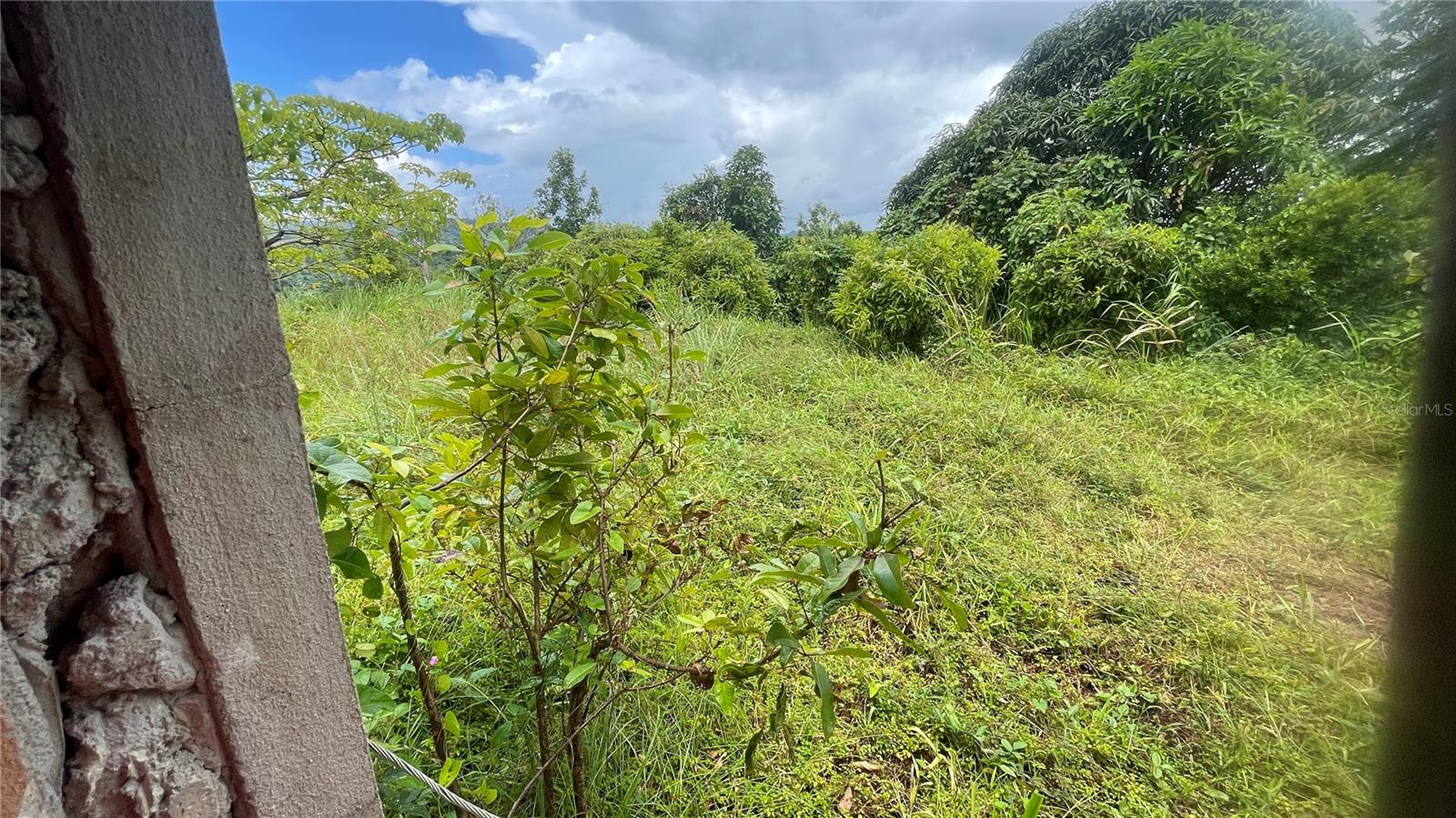 2 hab · 1 baños · YABUCOA — foto 9