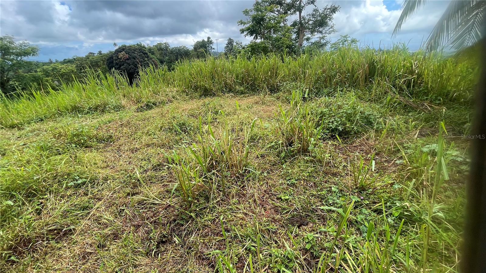 2 hab · 1 baños · YABUCOA — foto 10