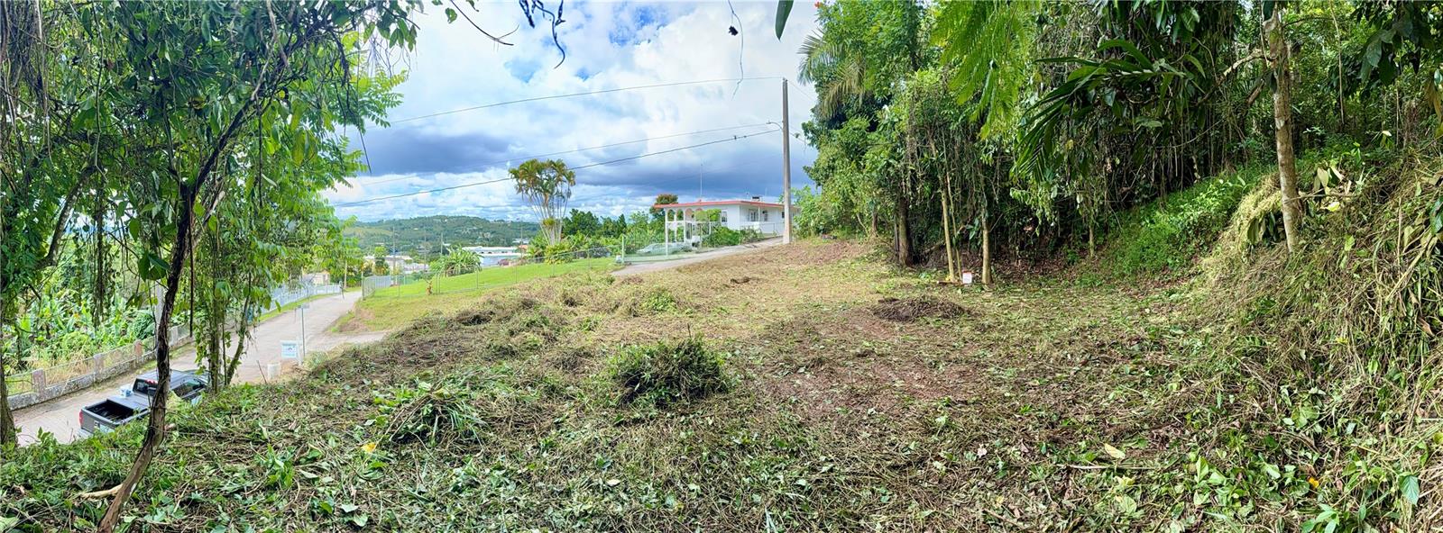 CAYEY