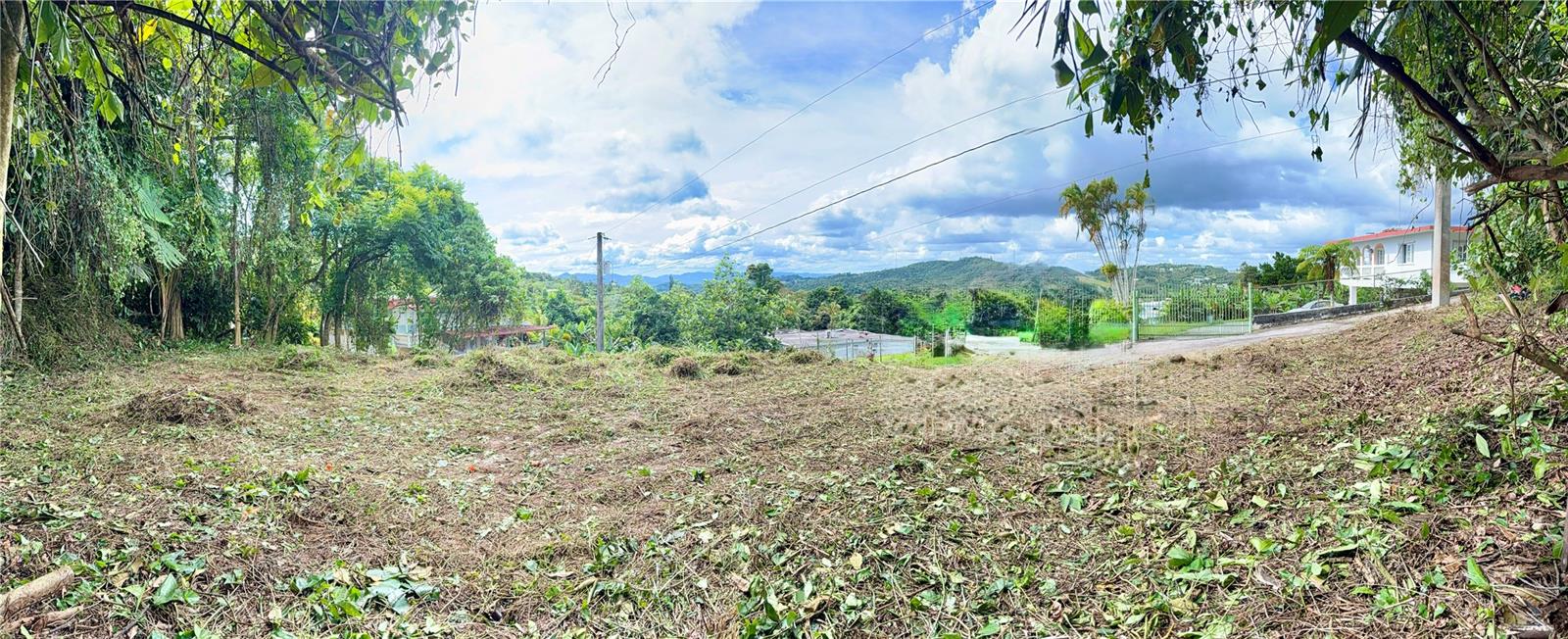 CAYEY — foto 2