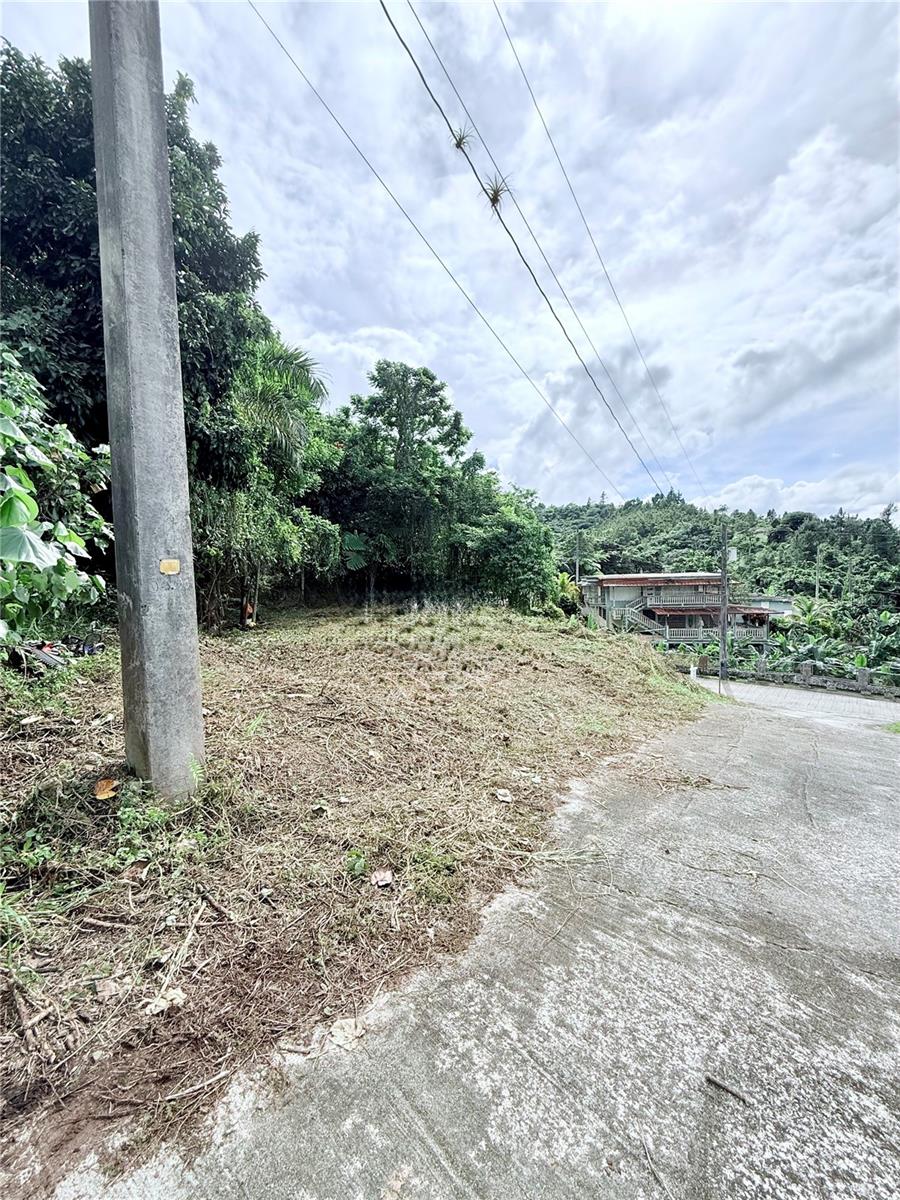 CAYEY — foto 11