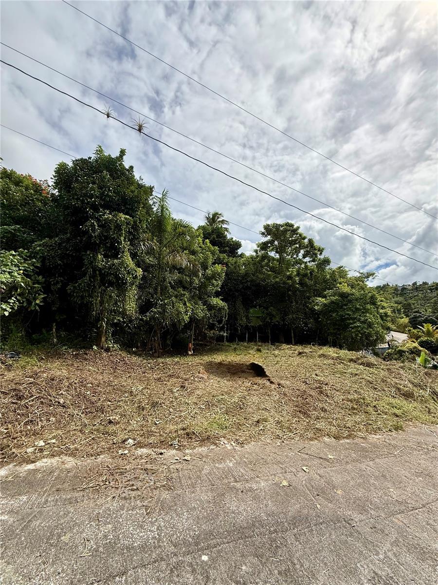 CAYEY — foto 12
