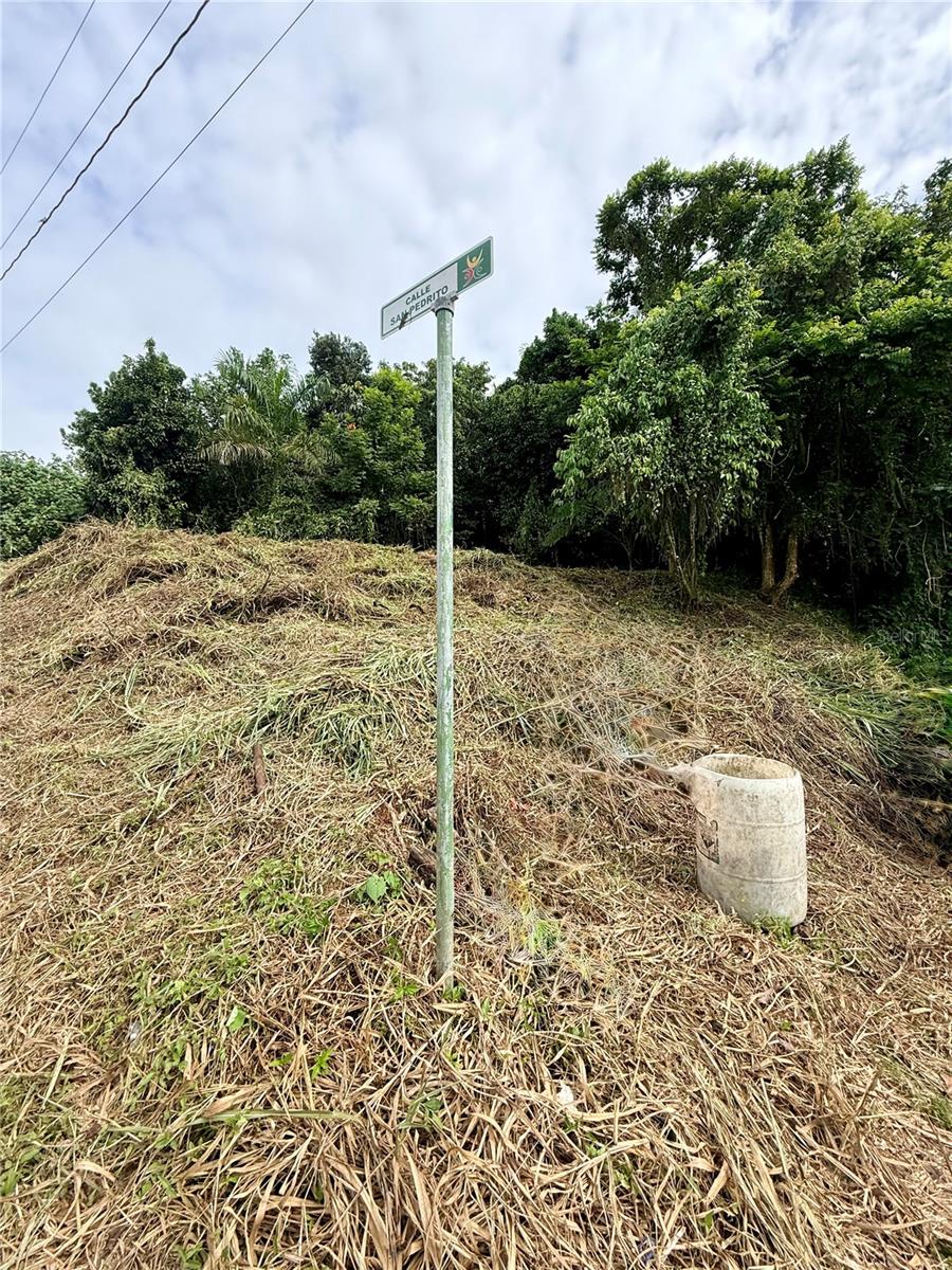 CAYEY — foto 5