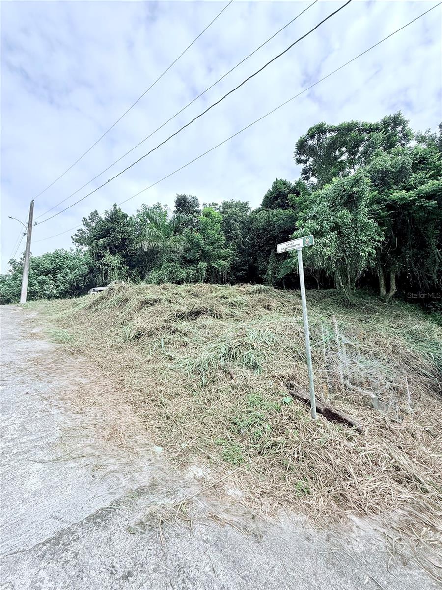 CAYEY — foto 6