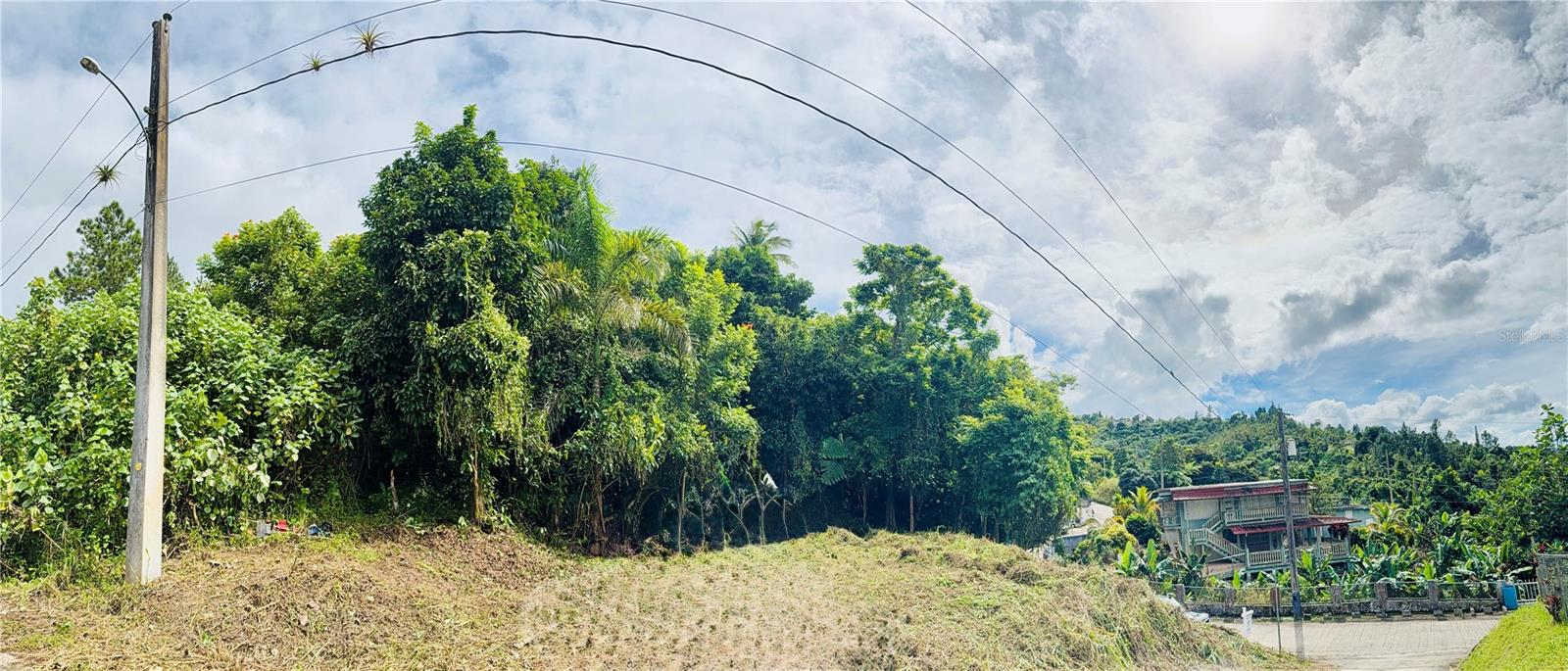 CAYEY — foto 8