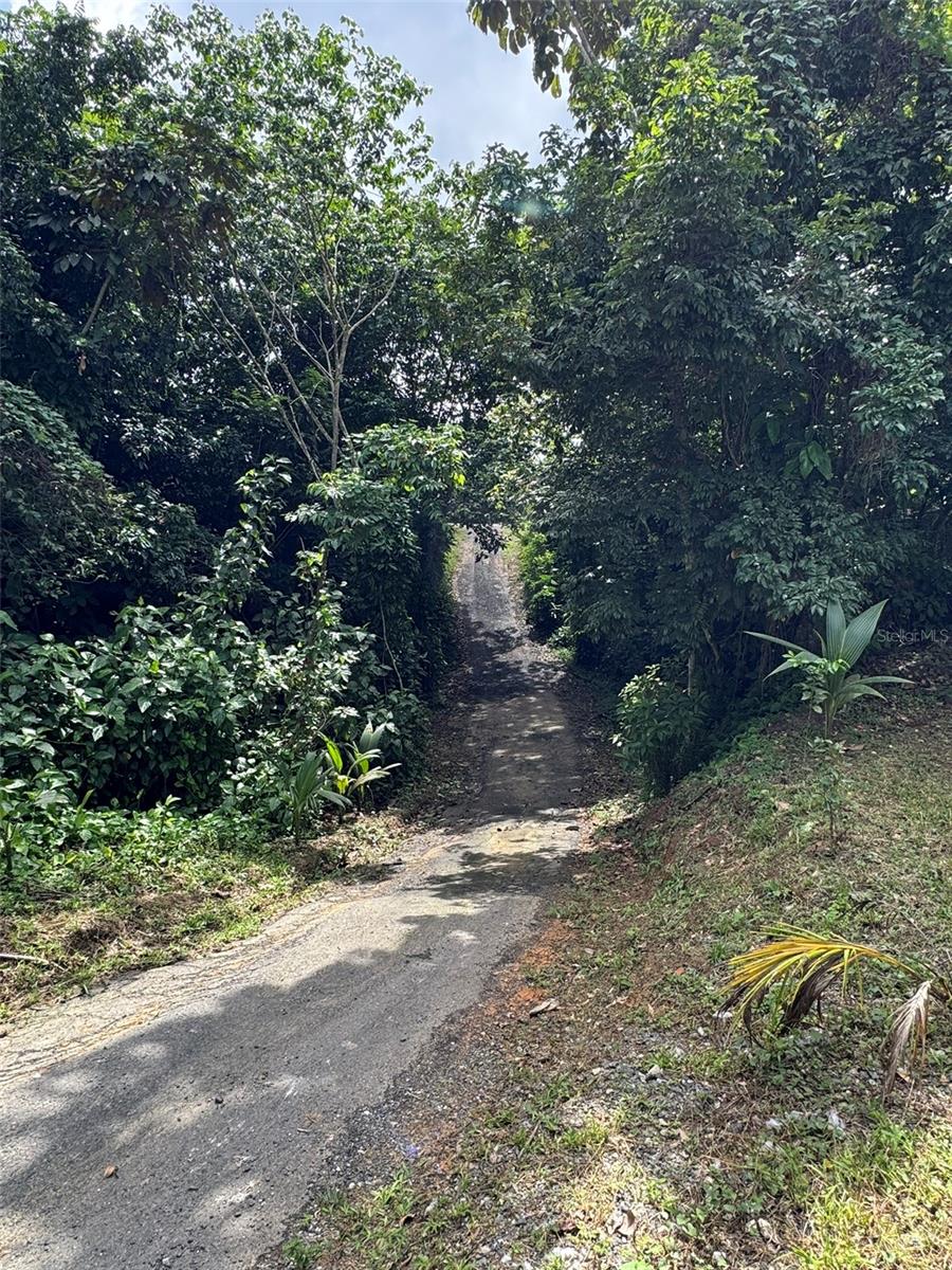 SAN LORENZO — foto 6