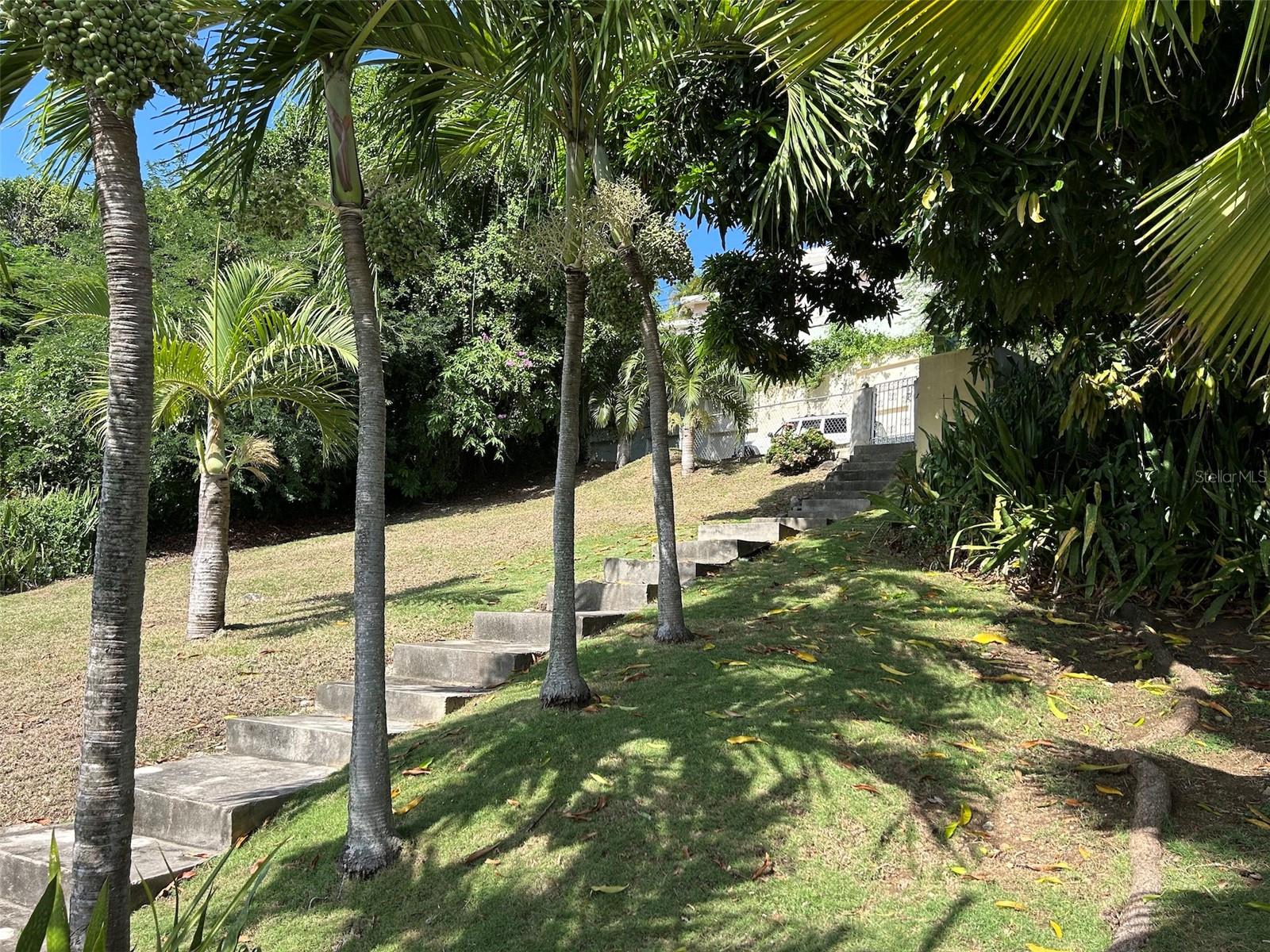 2 hab · 2 baños · VIEQUES — foto 5