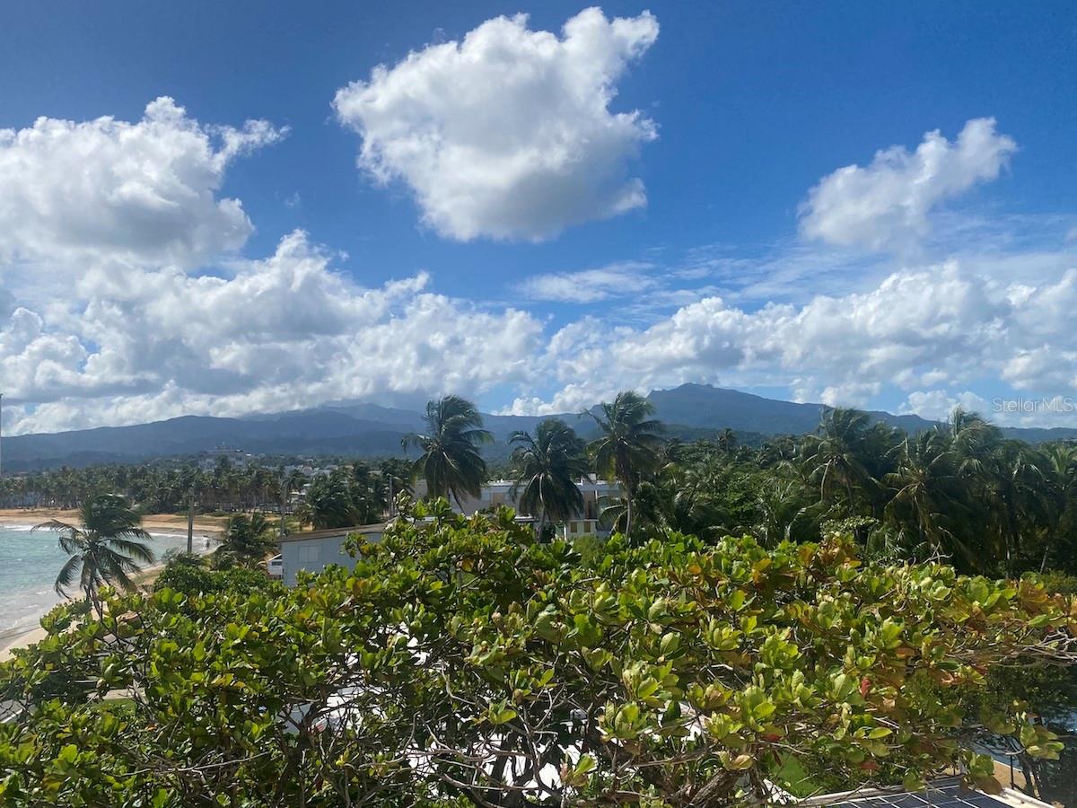 1 hab · 1 baños · LUQUILLO — foto 11