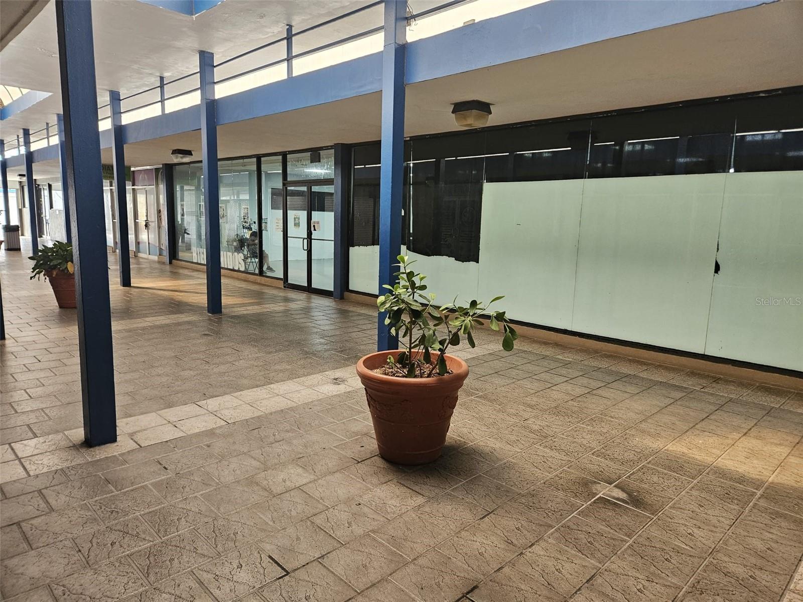 HUMACAO — foto 2