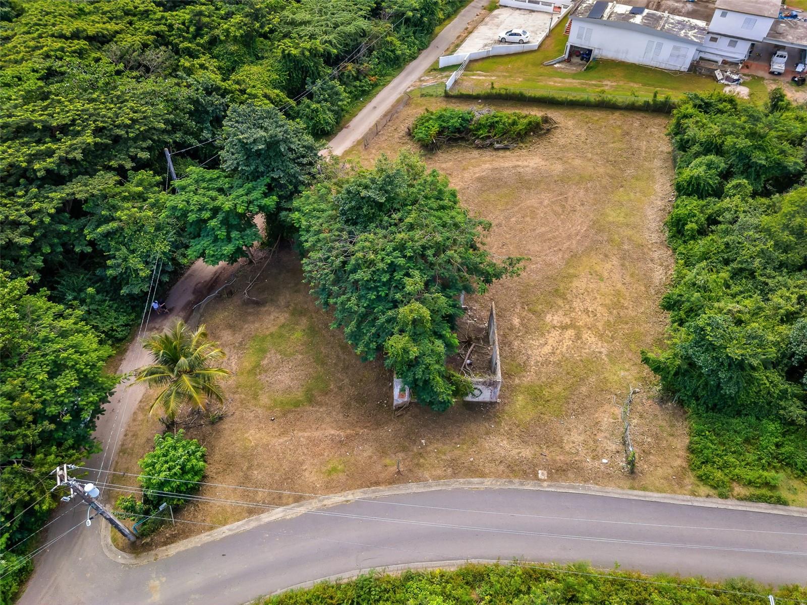 VIEQUES — foto 11