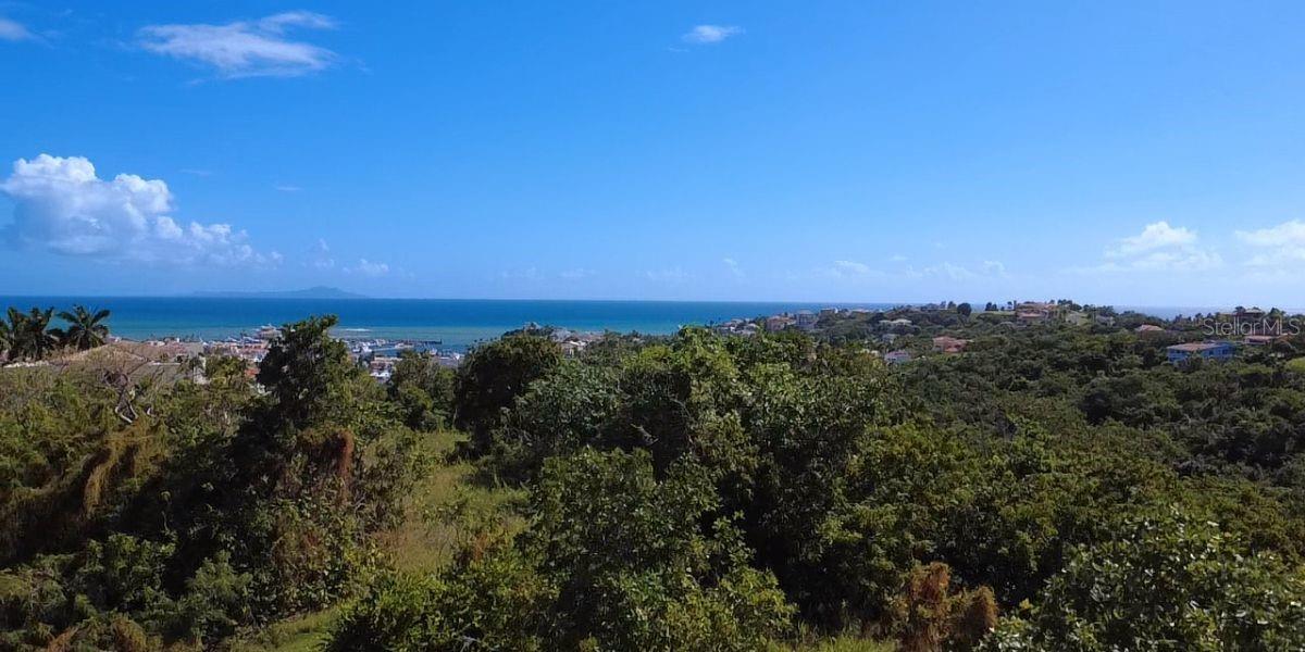 HUMACAO — foto 9