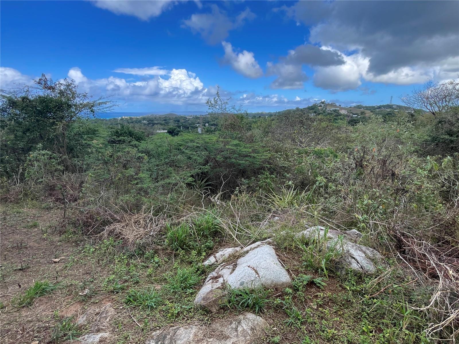 VIEQUES — foto 3