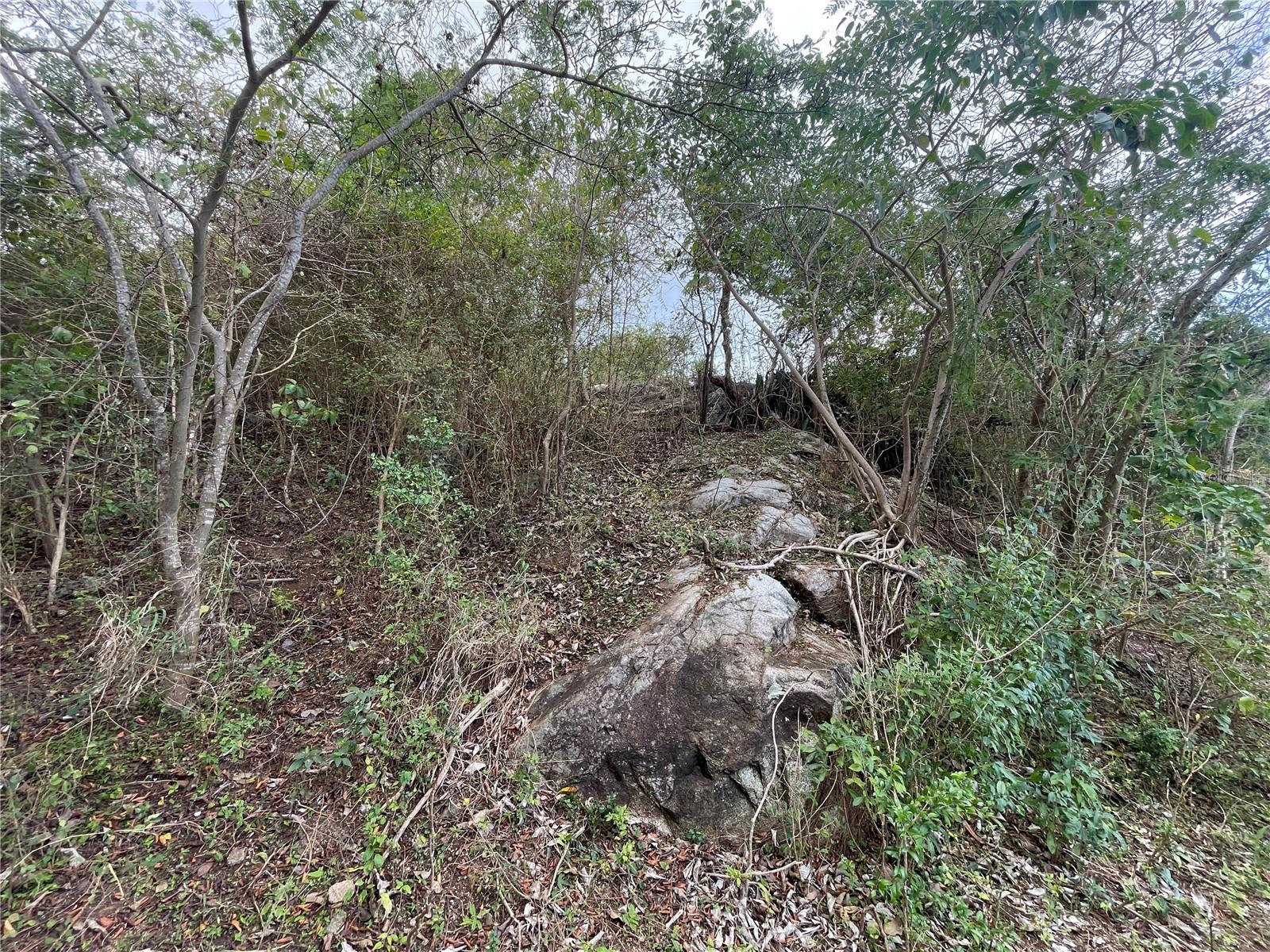 VIEQUES — foto 4