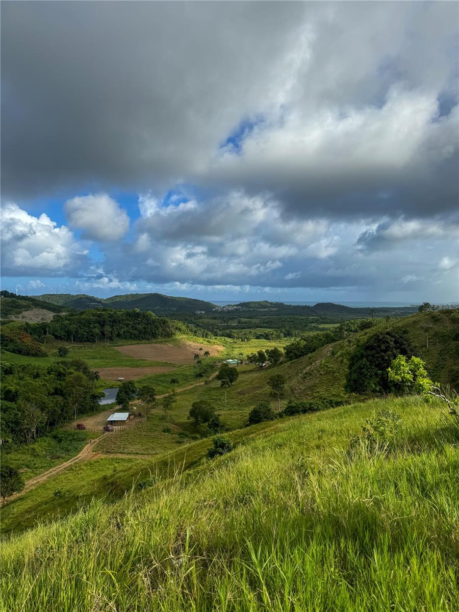 NAGUABO — foto 2