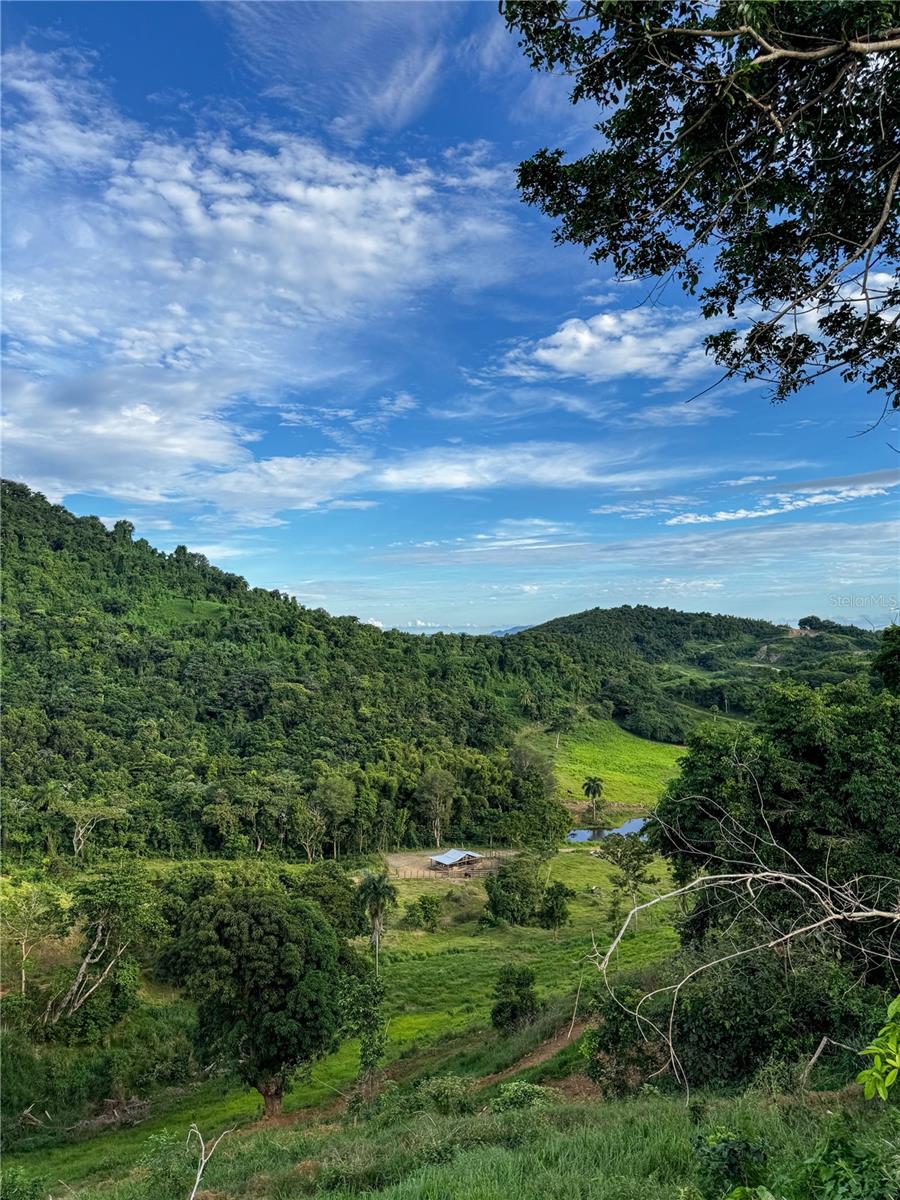 NAGUABO — foto 3