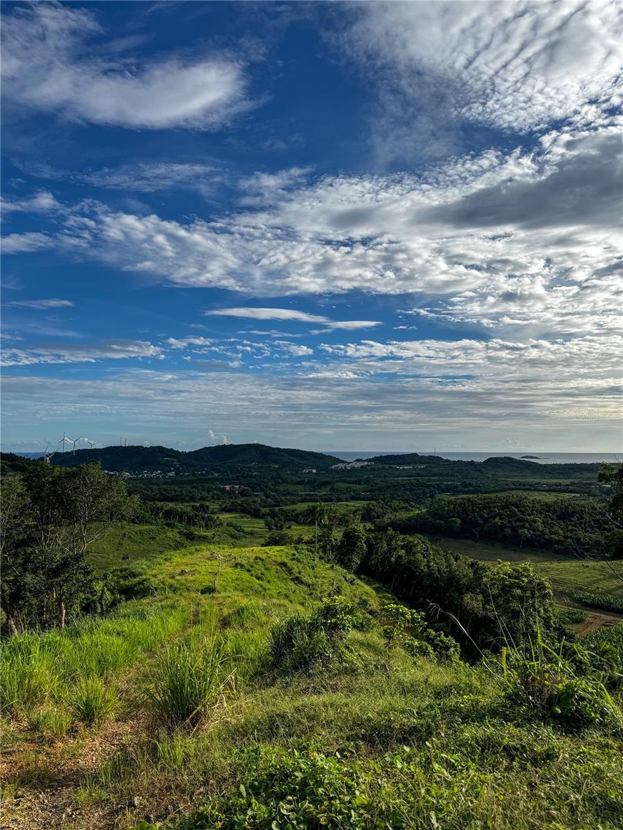 NAGUABO — foto 4
