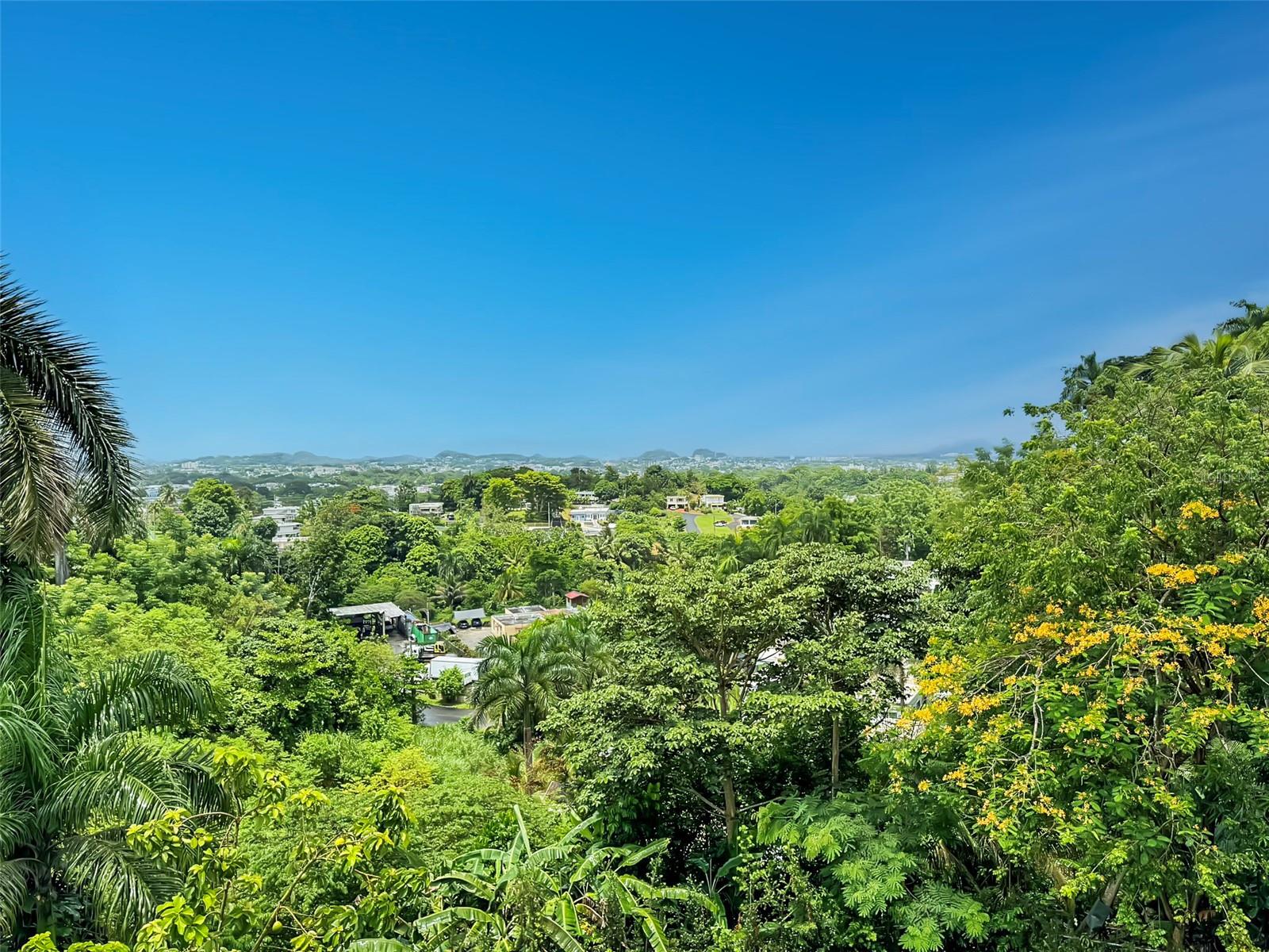 4 hab · 5 baños · BAYAMON — foto 9