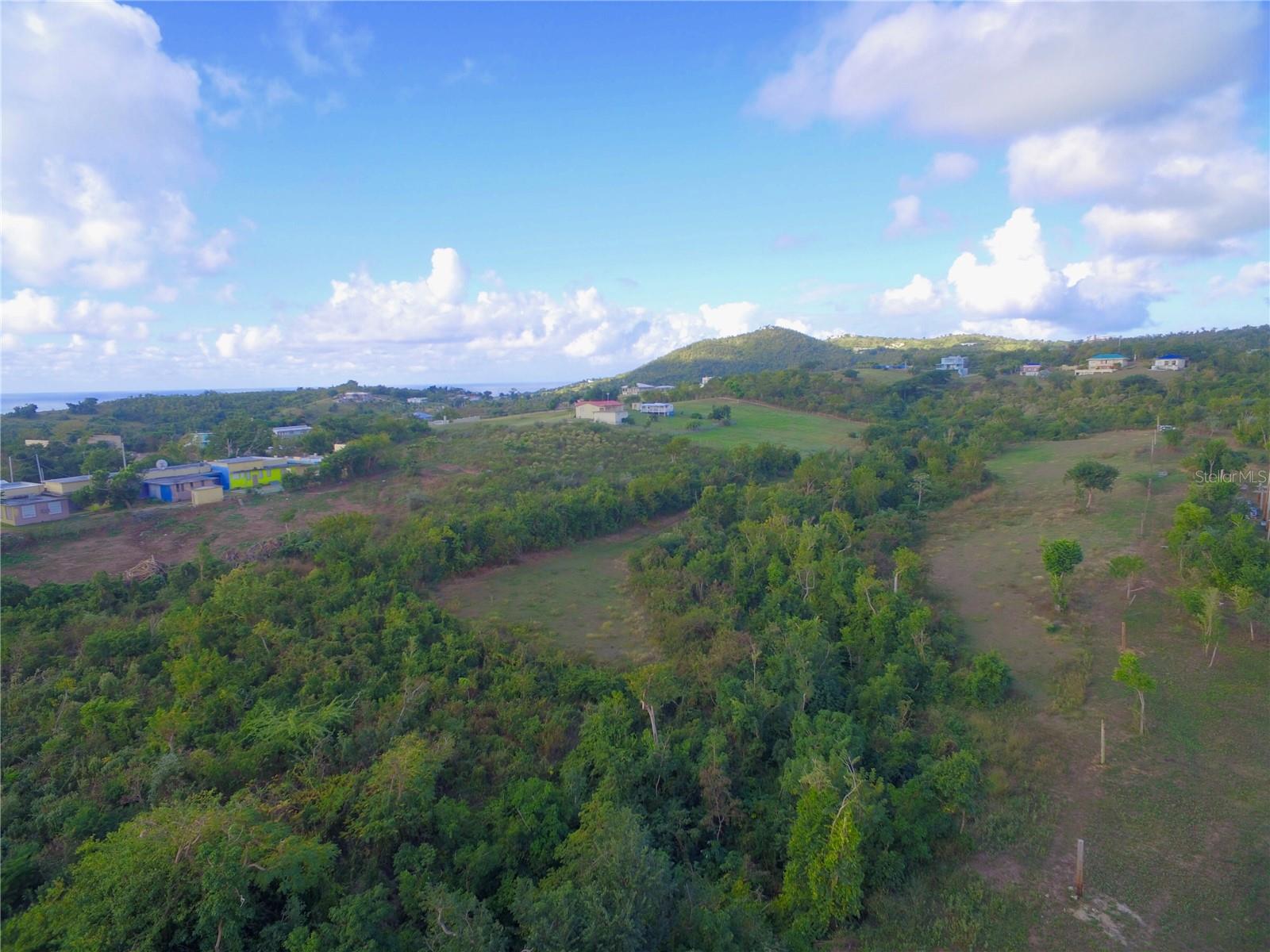VIEQUES