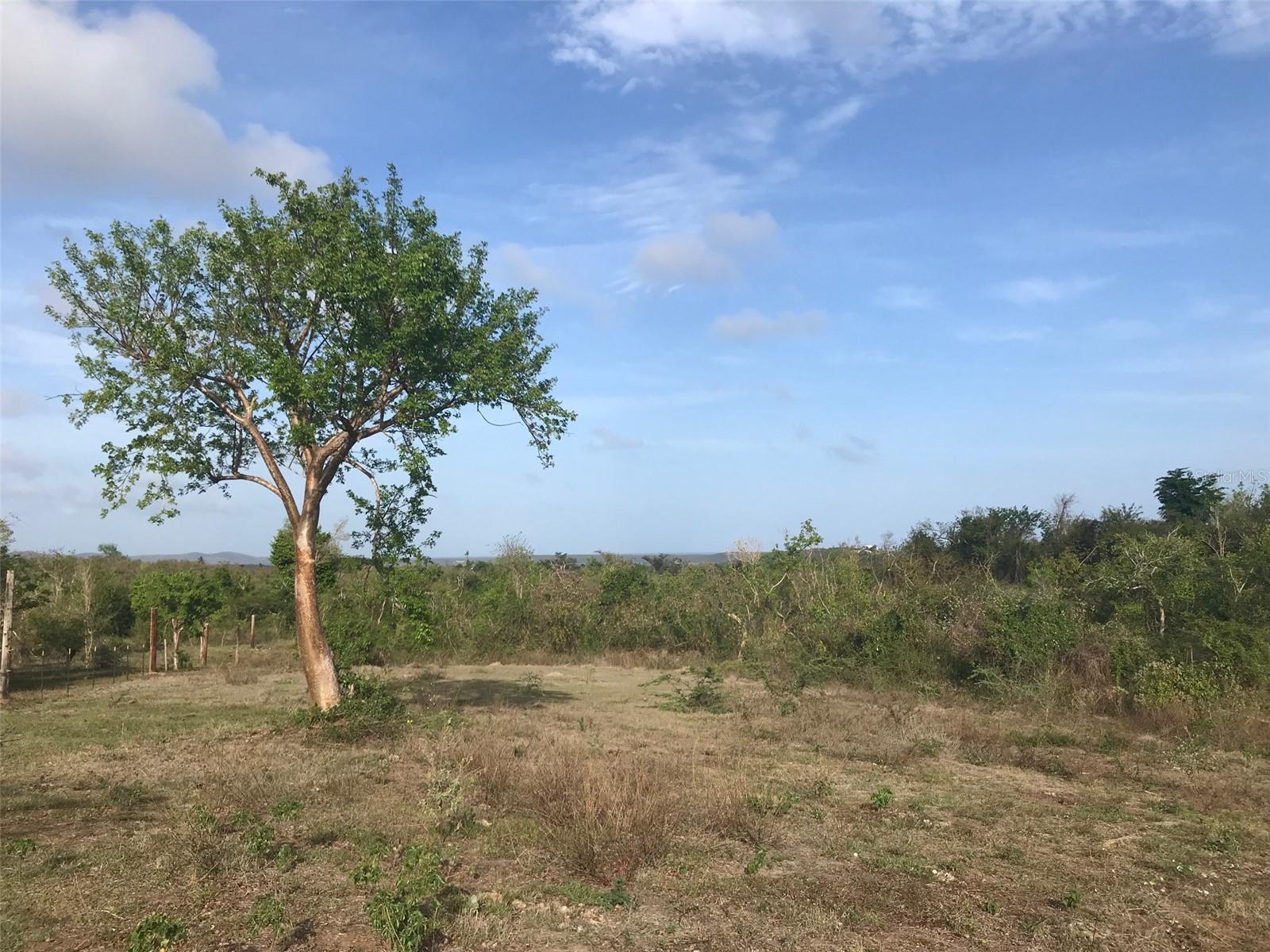 VIEQUES — foto 2