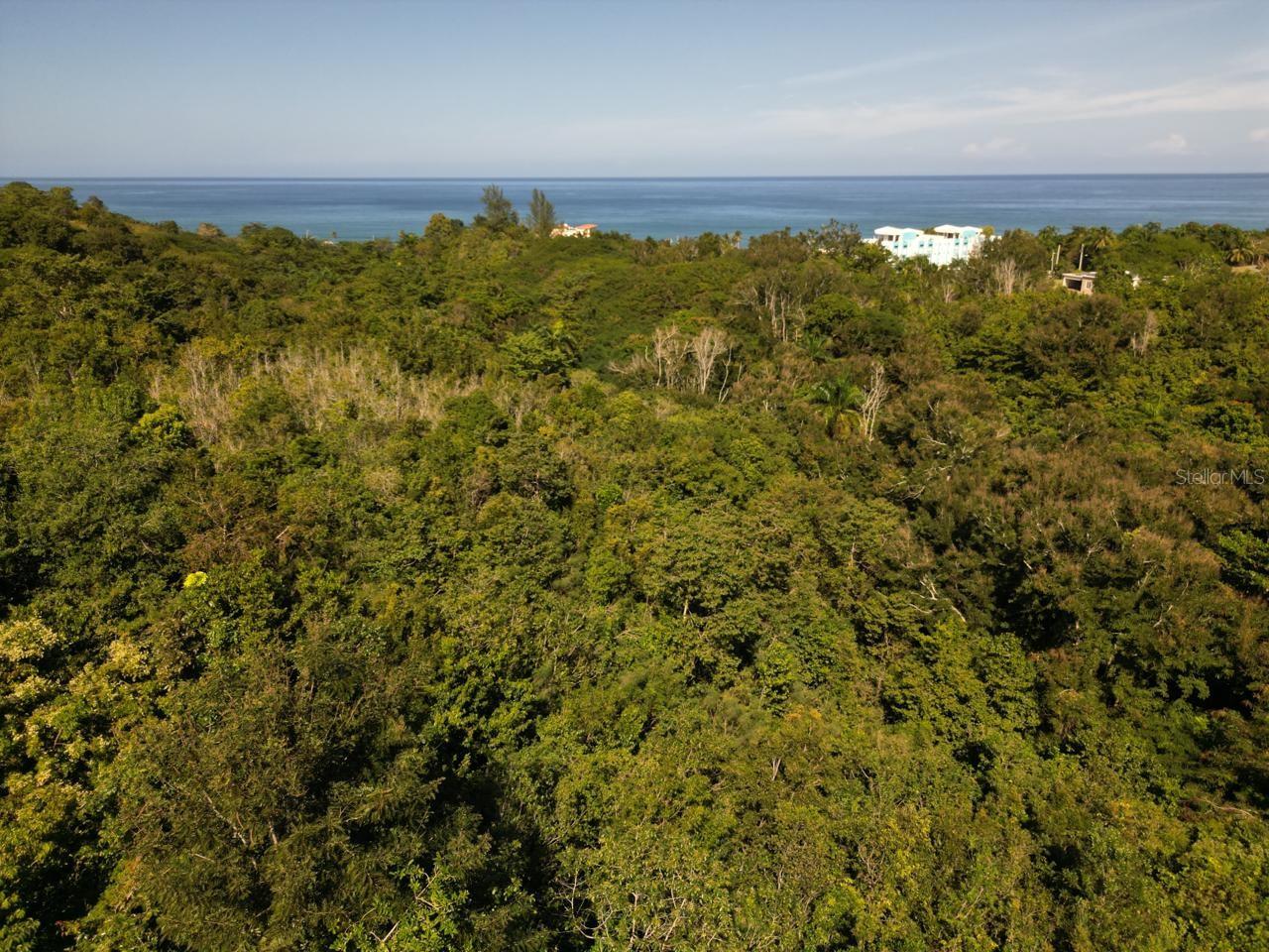 AGUADA