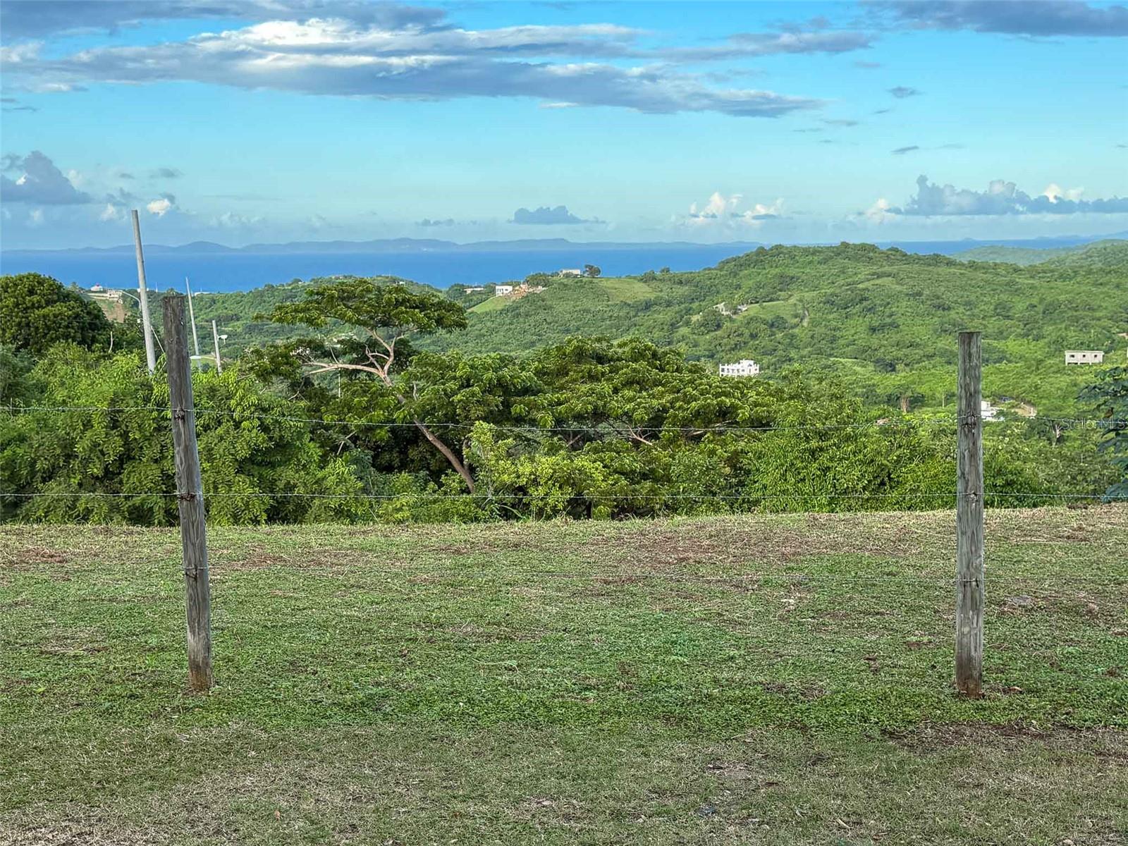 VIEQUES