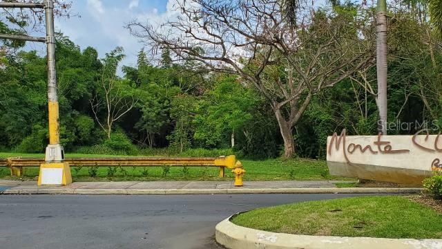 BAYAMON — foto 3