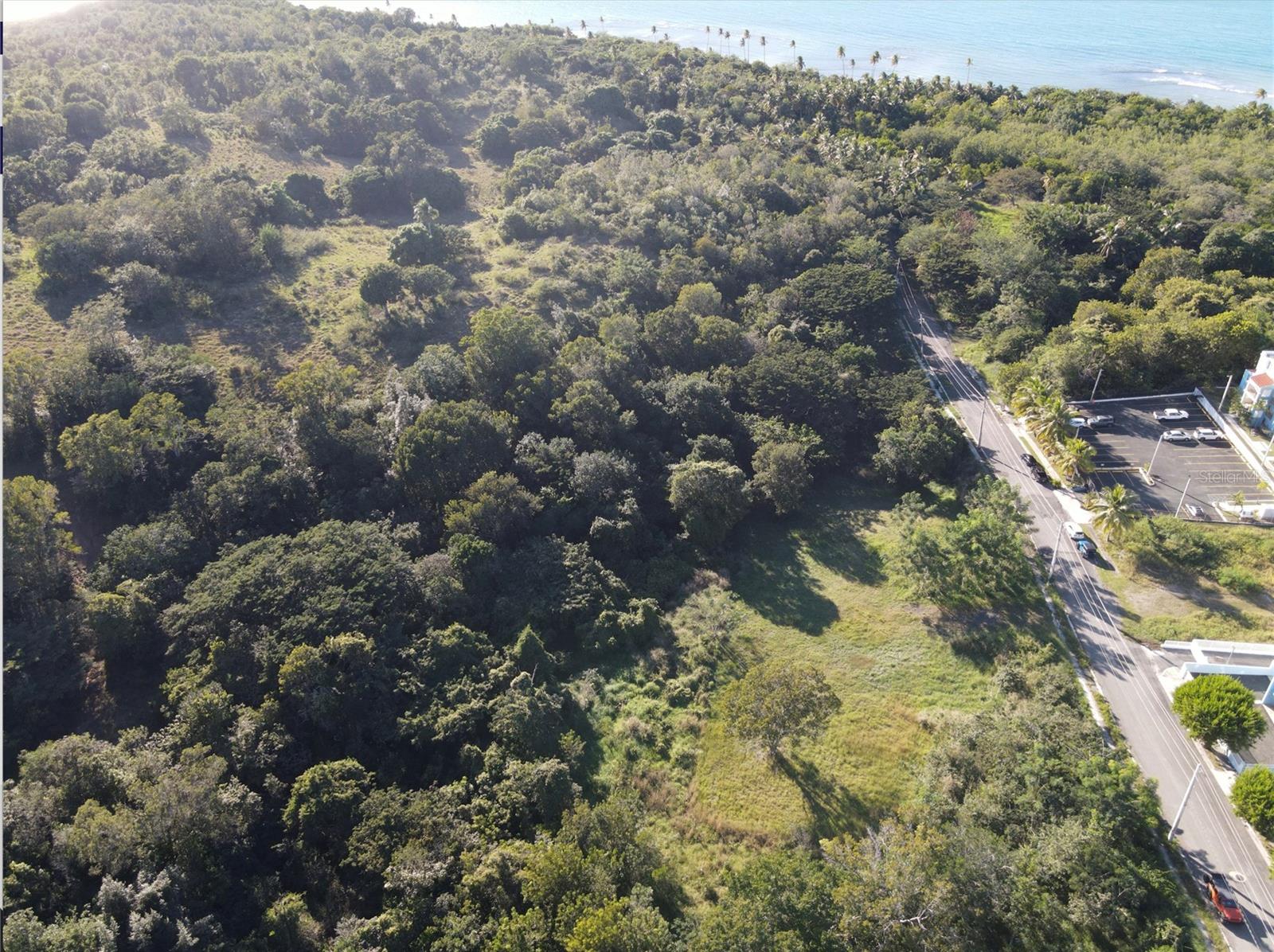 CABO ROJO — foto 2