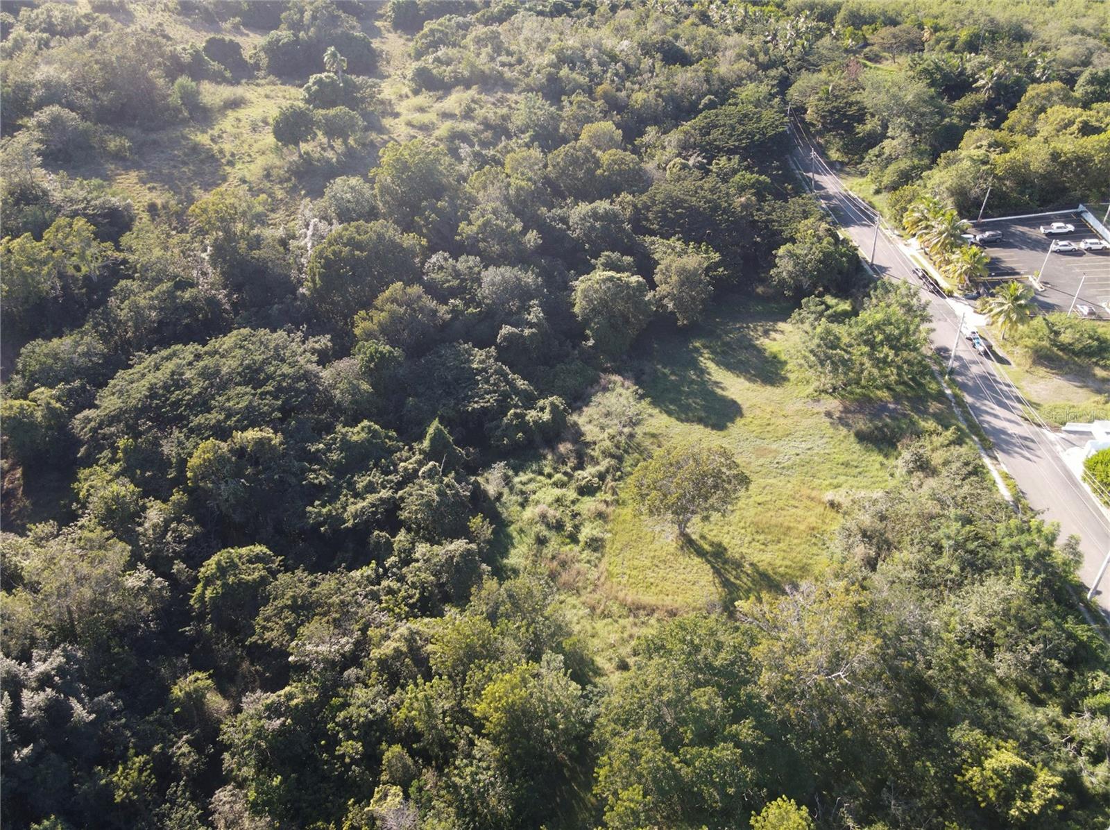 CABO ROJO — foto 4