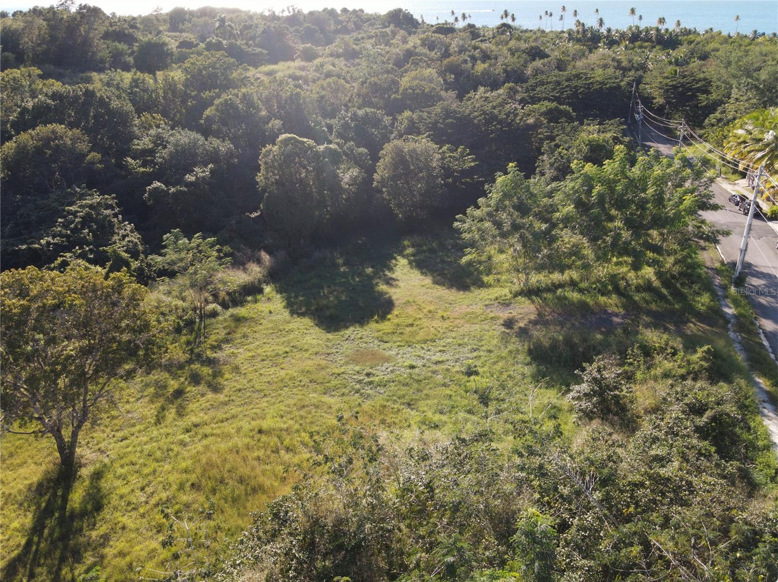 CABO ROJO — foto 9
