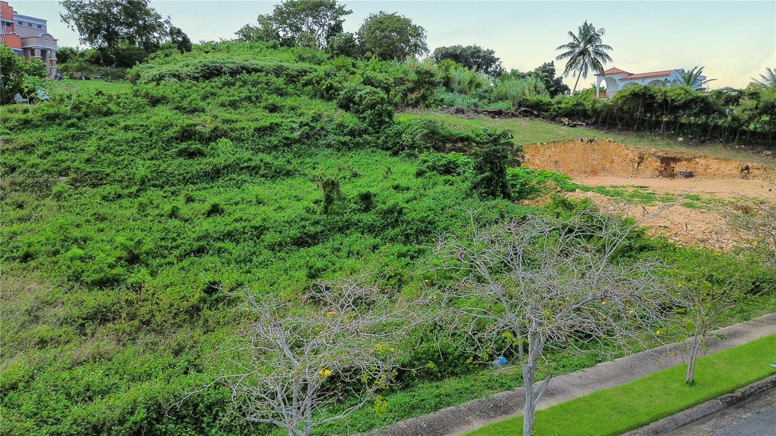 CAMUY — foto 5