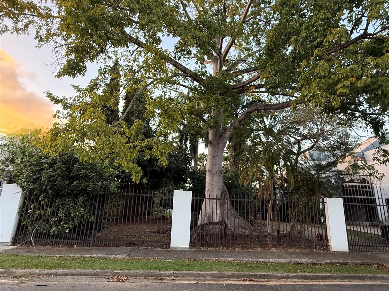 GUAYNABO — foto 2