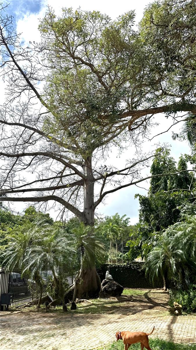 GUAYNABO — foto 4