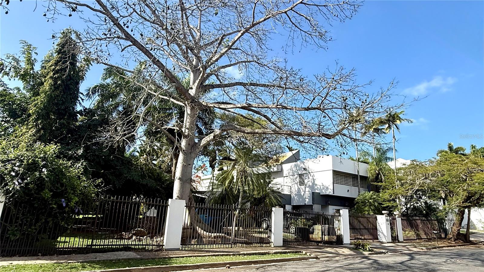 GUAYNABO — foto 5
