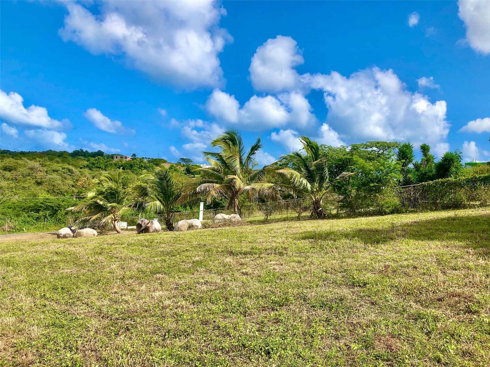 VIEQUES