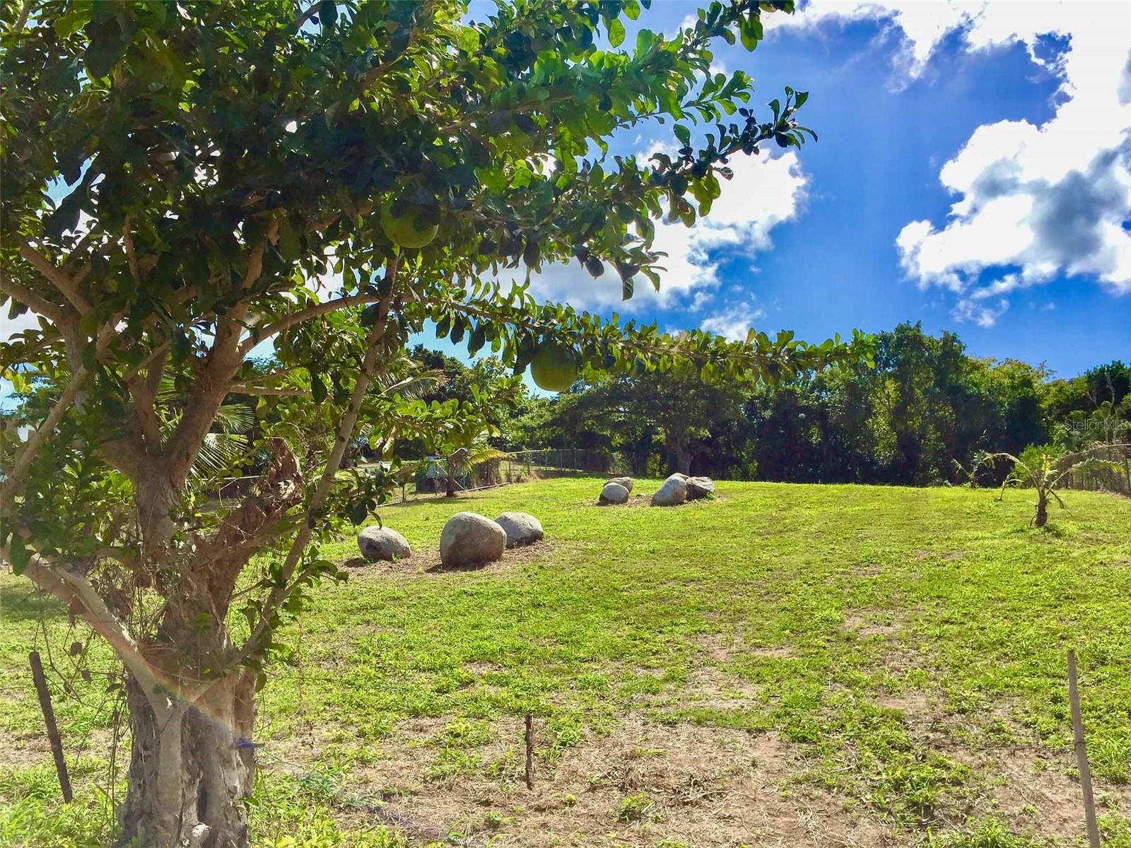 VIEQUES — foto 5