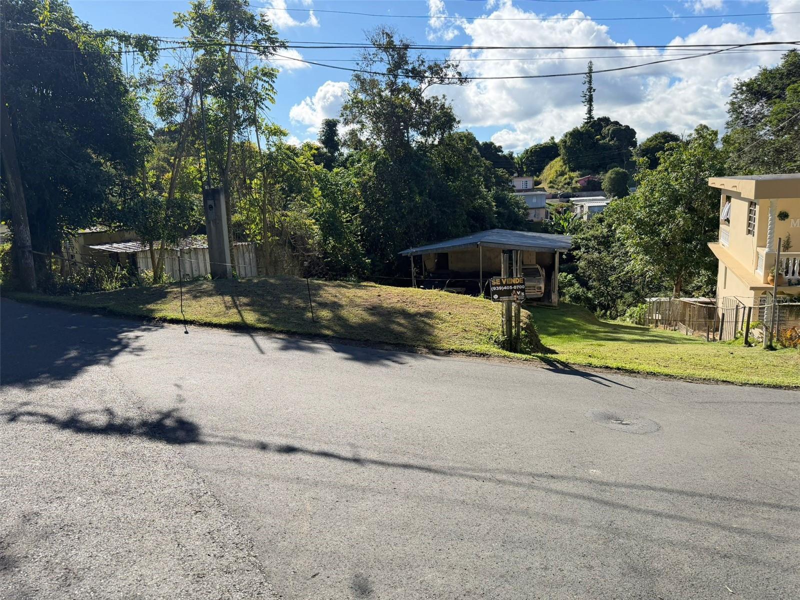 AIBONITO — foto 2