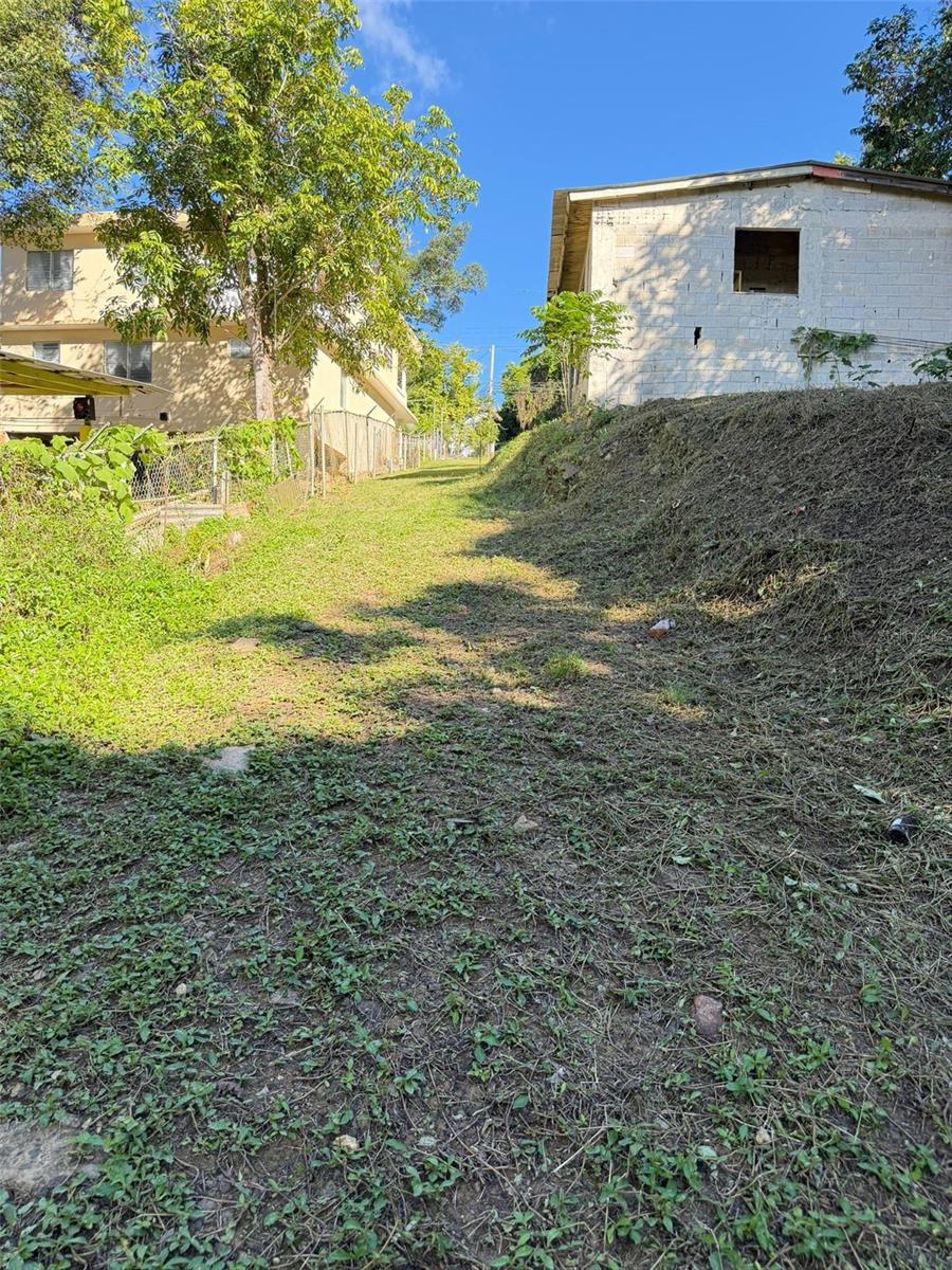 AIBONITO — foto 4