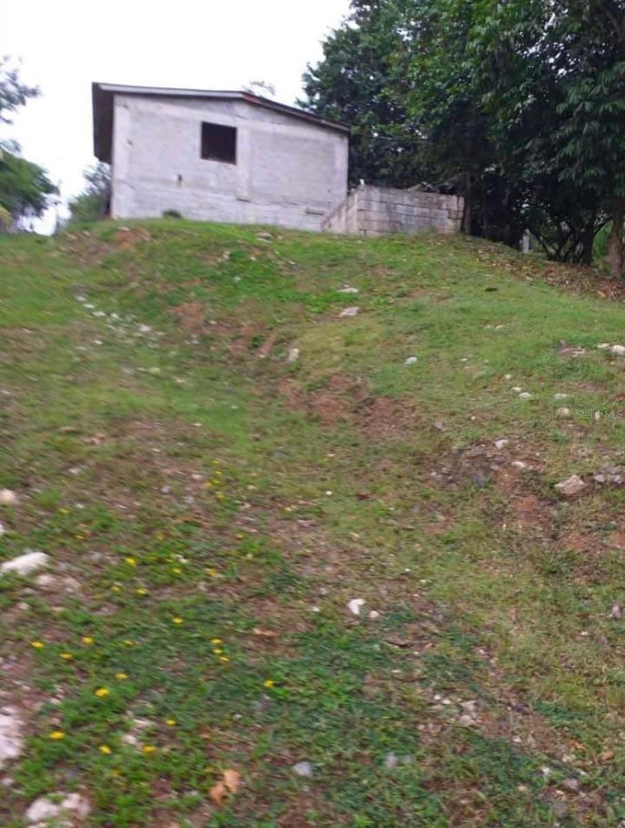 AIBONITO — foto 10