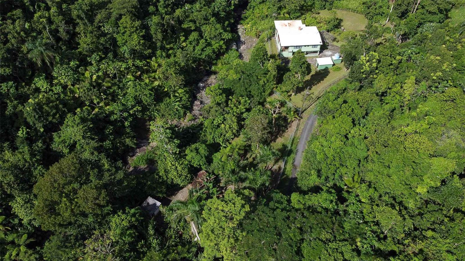 3 hab · 4 baños · CANOVANAS — foto 4