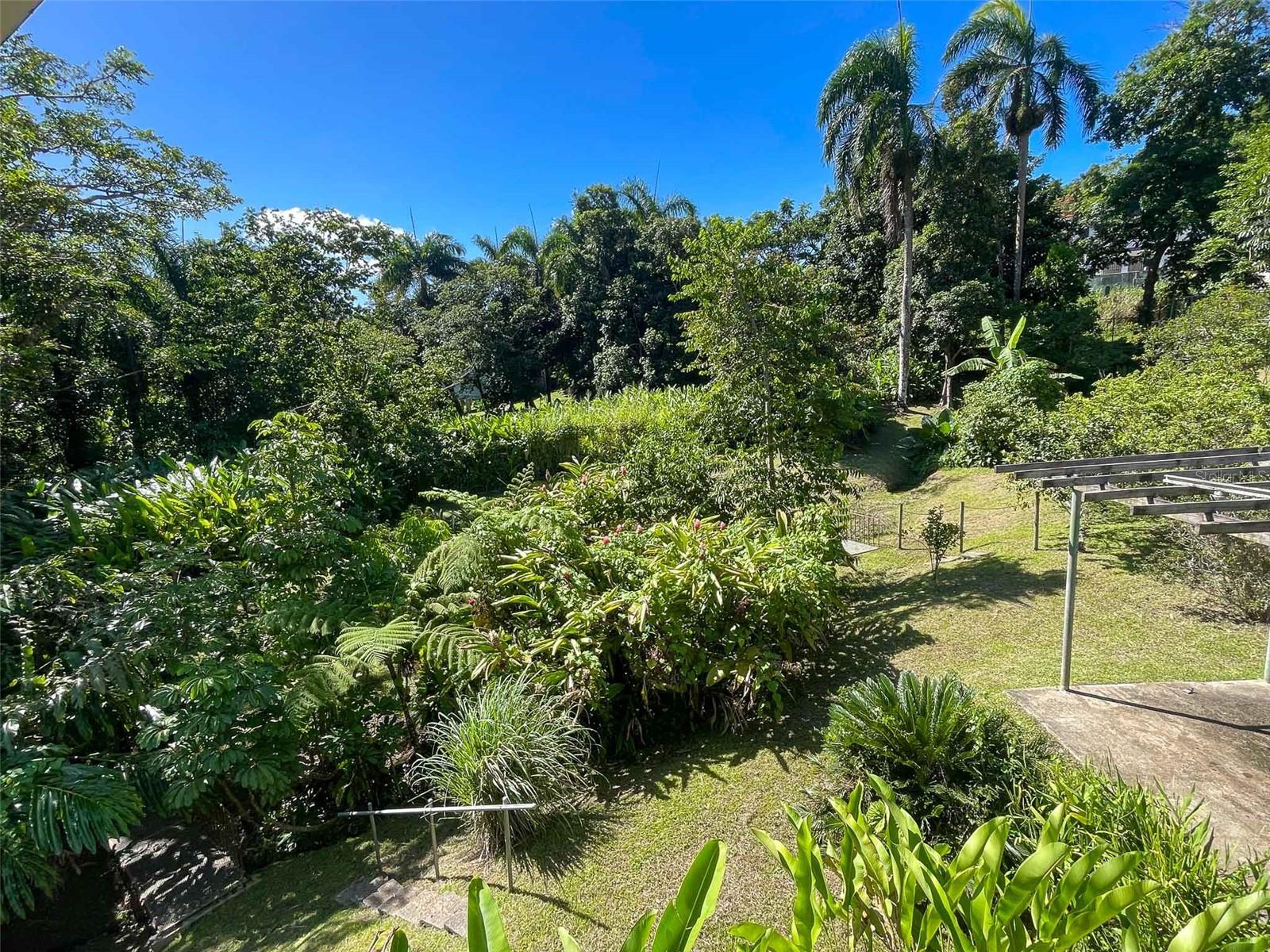 3 hab · 4 baños · CANOVANAS — foto 6