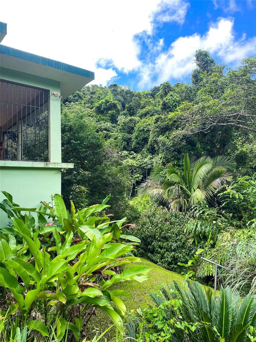 3 hab · 4 baños · CANOVANAS — foto 7