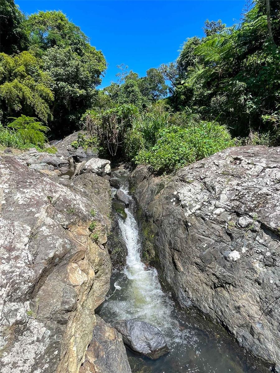 3 hab · 4 baños · CANOVANAS — foto 8